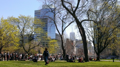 QueensPark1